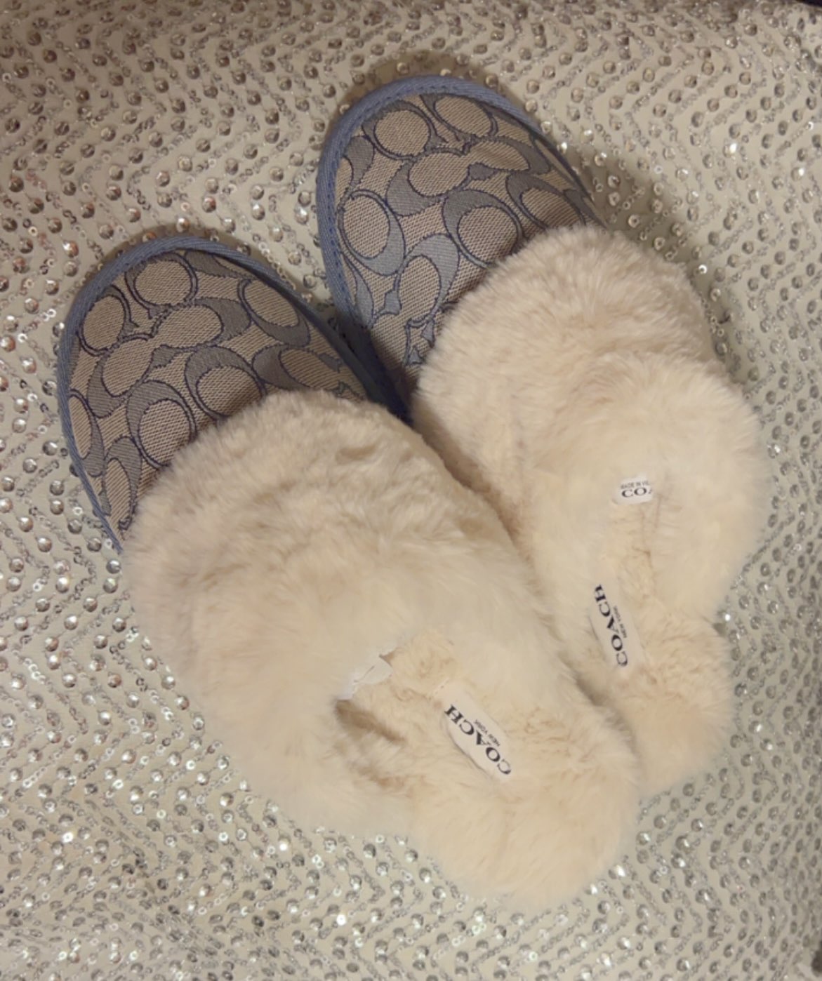 Blue Coach Slippers Womens