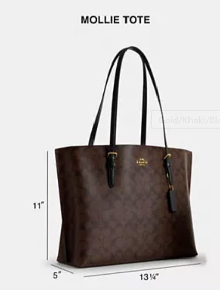 Coach Mollie Tote In Signature Canvas Brwn/Black
